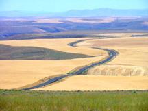 Wheat fields with John Day River basin in background